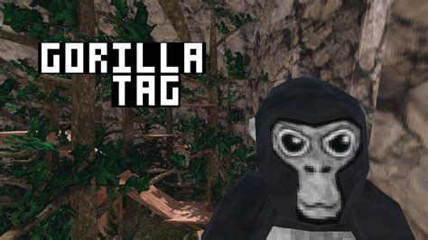 Don't forg. . Best gorilla tag fan games